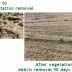 Before and after vegetation and debris removal